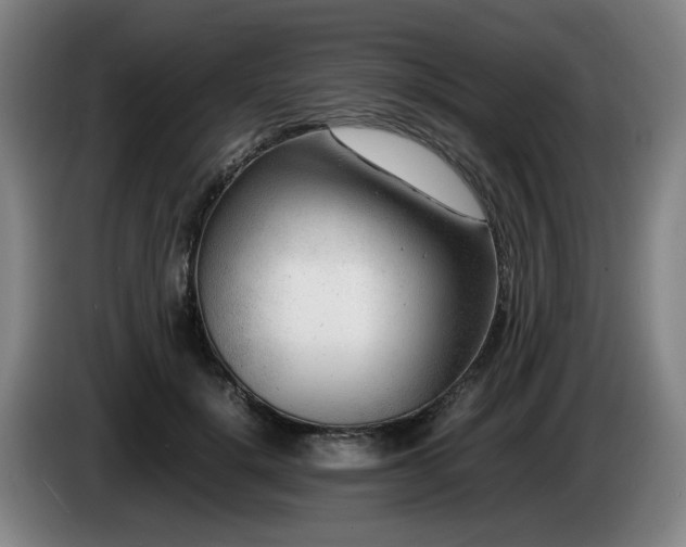 X0000085210652200703091140