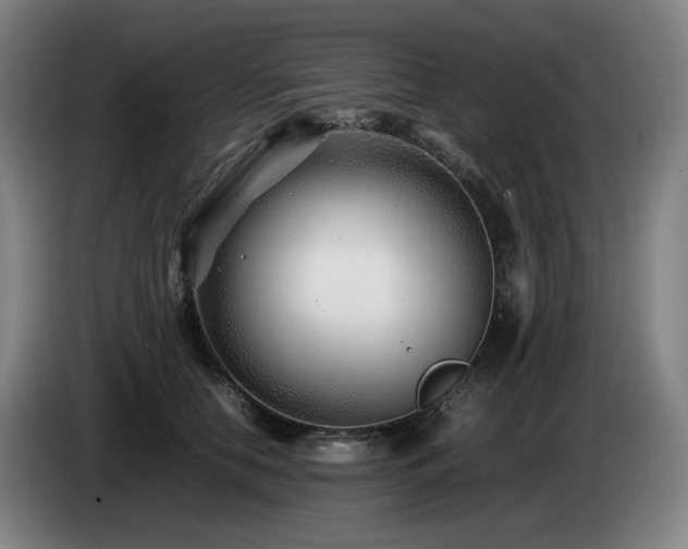 X0000085210658200703091140