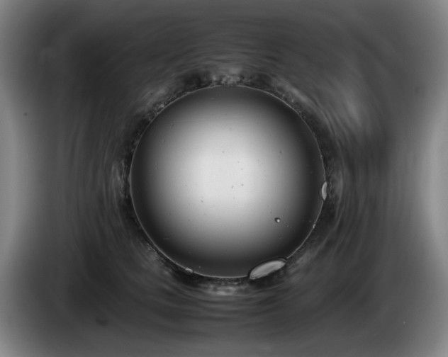 X0000085210661200703091140