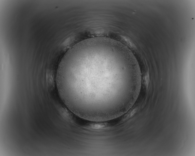 X0000085210662200703091140