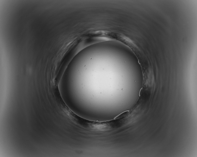 X0000085210669200703091140