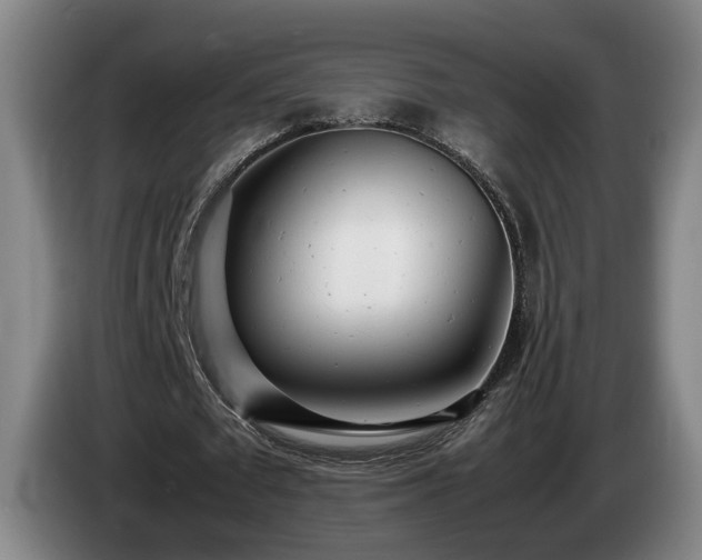 X0000085210673200703091139
