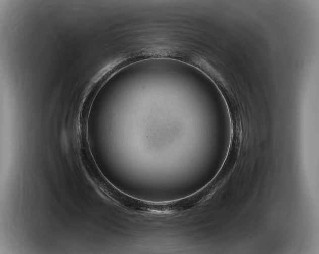 X0000085210674200703091139