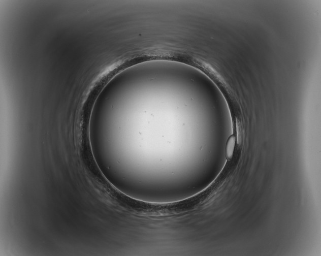 X0000085210675200703091139