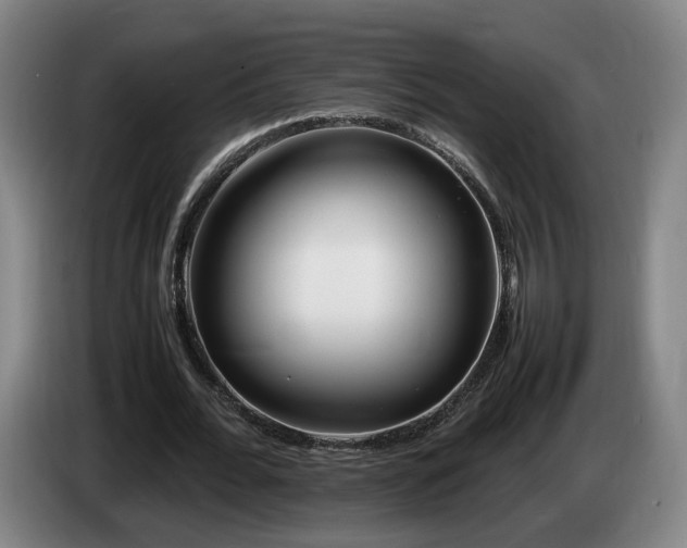 X0000085210676200703091139