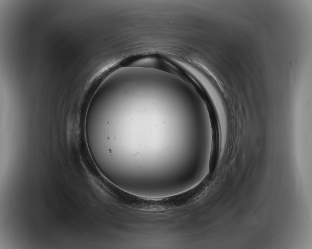 X0000085210677200703091139