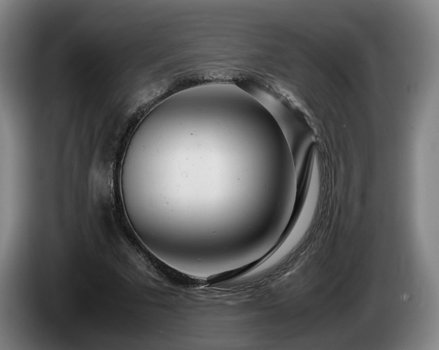 X0000085210681200703091139