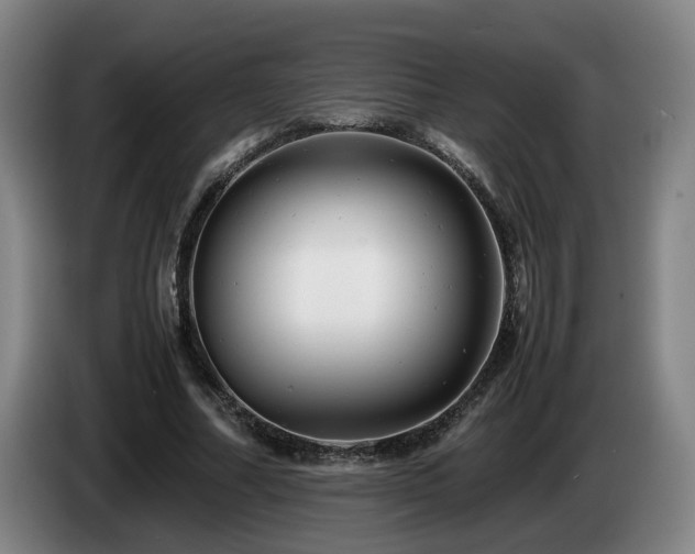 X0000085210682200703091139