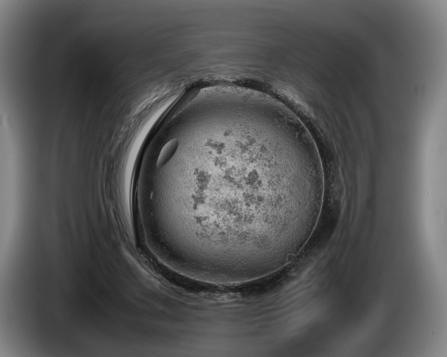 X0000085210683200703091139