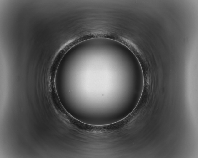 X0000085210684200703091139