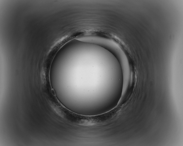 X0000085210688200703091139