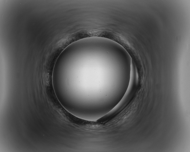 X0000085210689200703091139