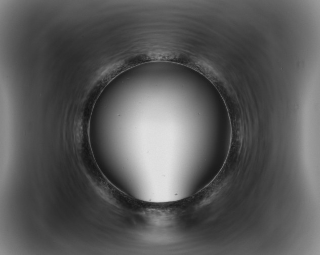 X0000085210690200703091139
