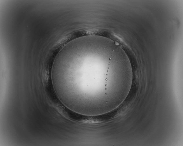 X0000085210691200703091139