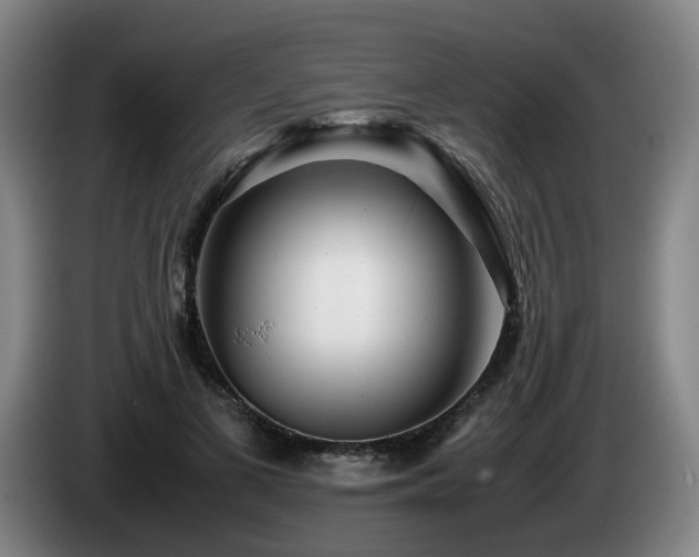 X0000085210693200703091139