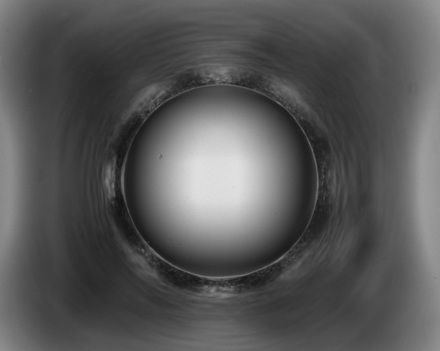 X0000085210694200703091139