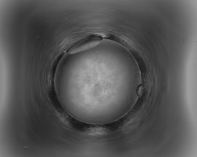 X0000085210695200703091139
