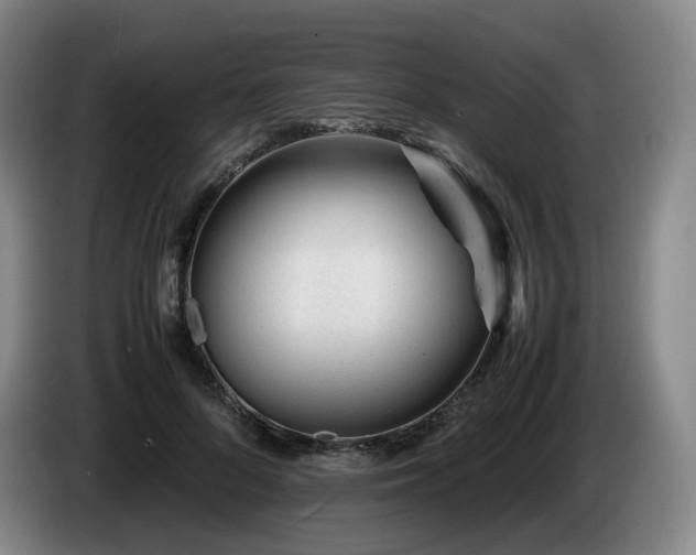 X0000085210696200703091139