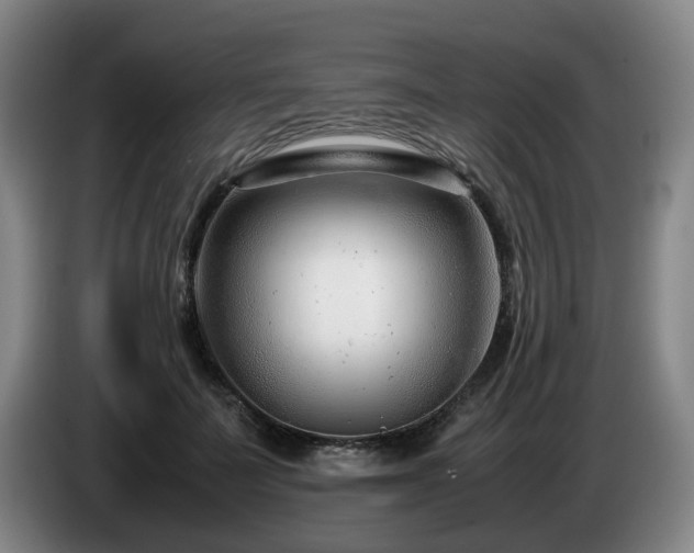 X0000085210699200703091139
