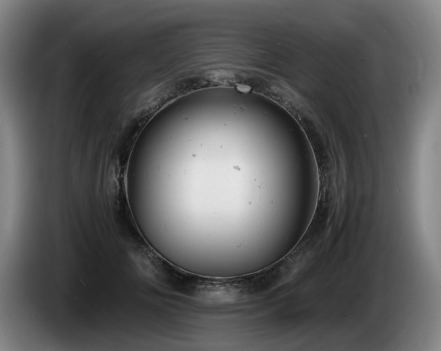 X0000085210702200703091139