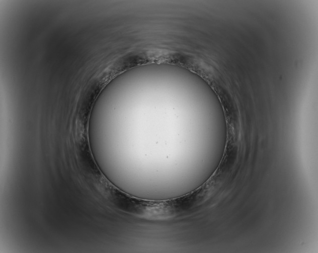 X0000085210705200703091139