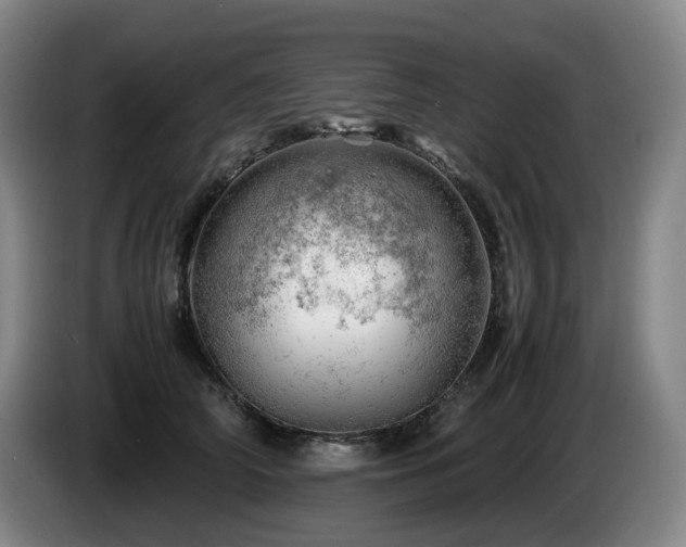 X0000085210706200703091139