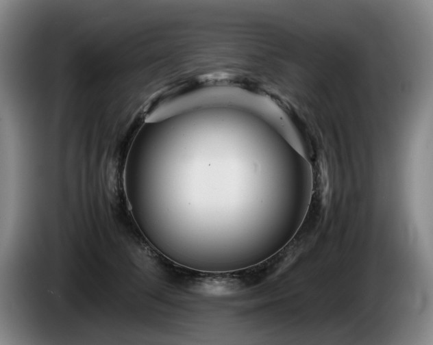 X0000085210708200703091139