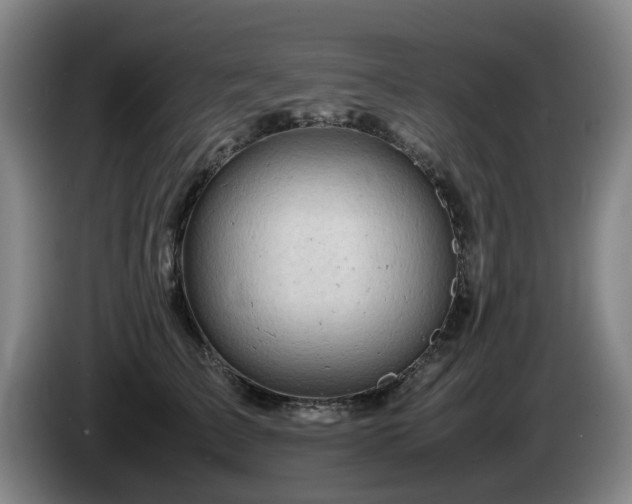 X0000085210709200703091139