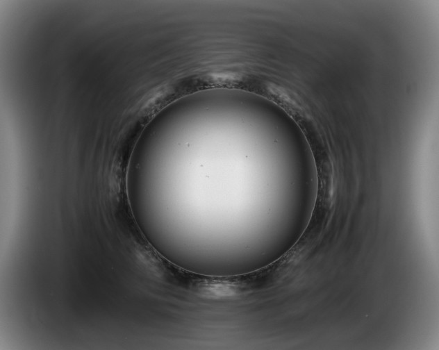 X0000085210710200703091139
