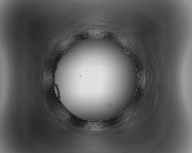 X0000085210713200703091139