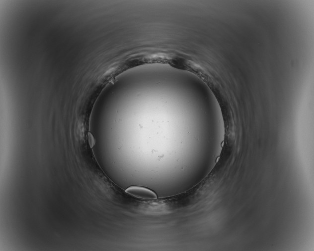X0000085210715200703091139