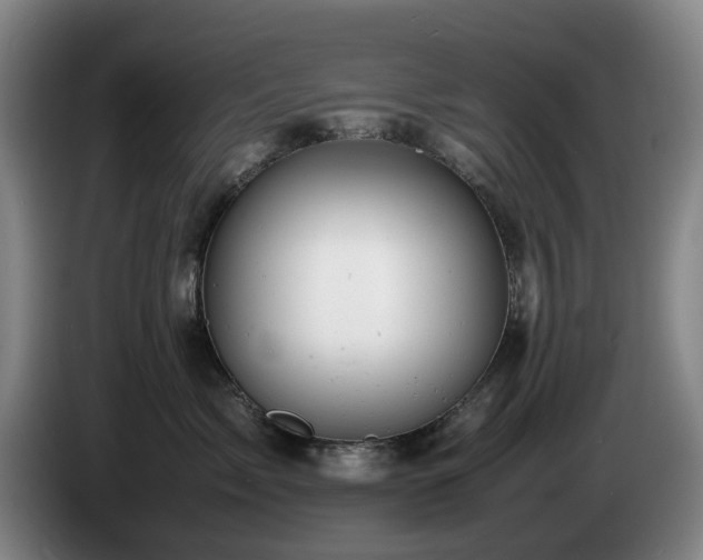 X0000085210717200703091139