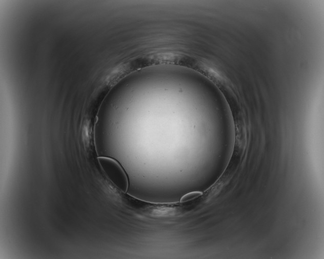 X0000085210718200703091139