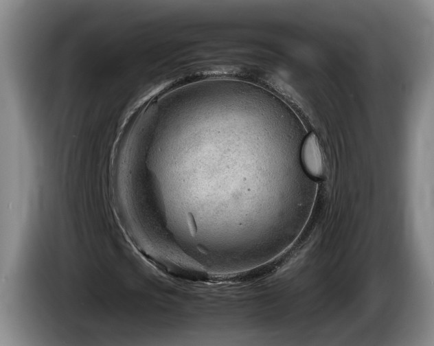 X0000085210721200703091138
