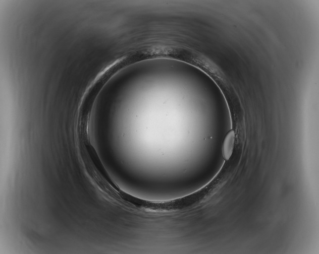 X0000085210722200703091138