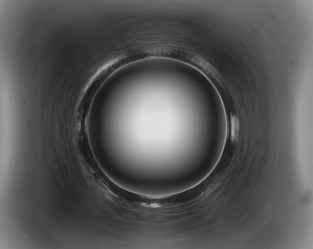 X0000085210723200703091138