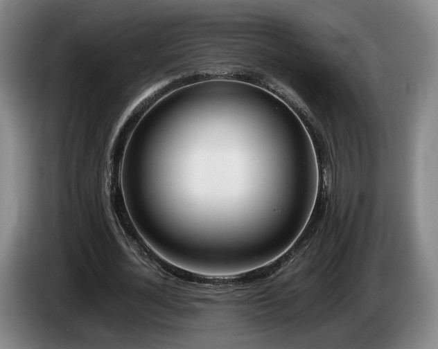 X0000085210724200703091138
