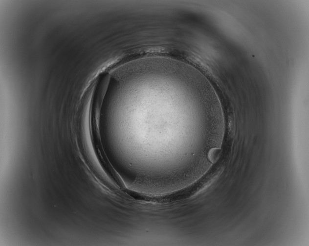 X0000085210725200703091138