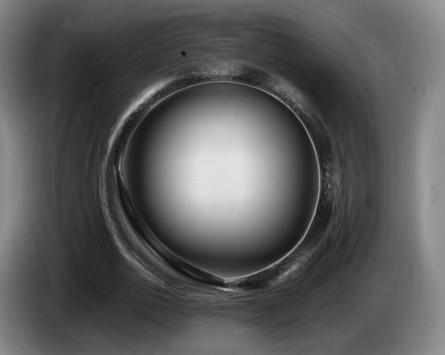 X0000085210726200703091138