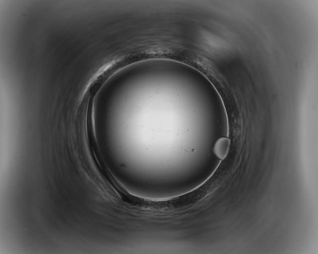 X0000085210727200703091138