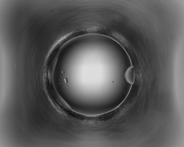 X0000085210728200703091138