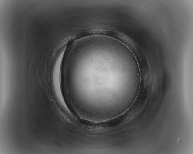 X0000085210729200703091138