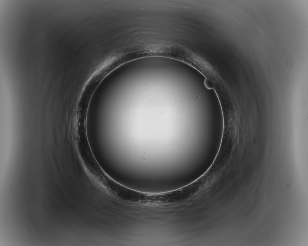 X0000085210730200703091138