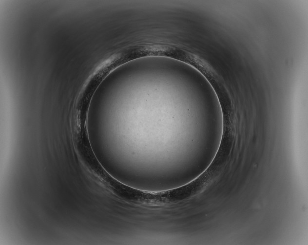 X0000085210731200703091138