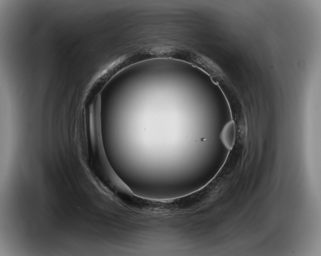 X0000085210732200703091138