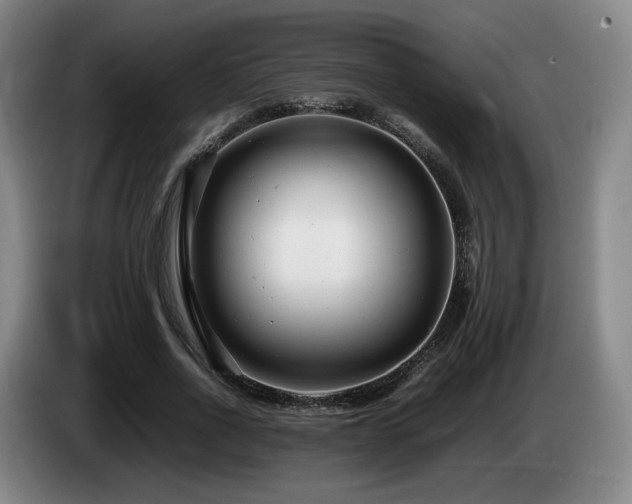 X0000085210734200703091138