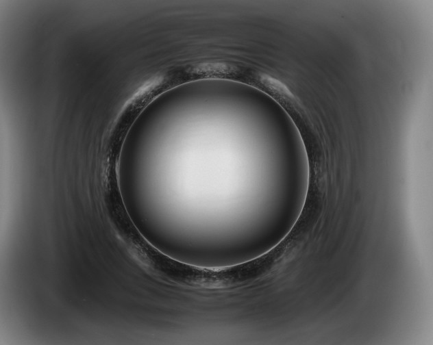 X0000085210735200703091138