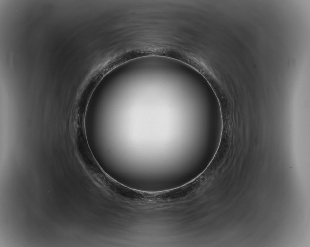 X0000085210736200703091138