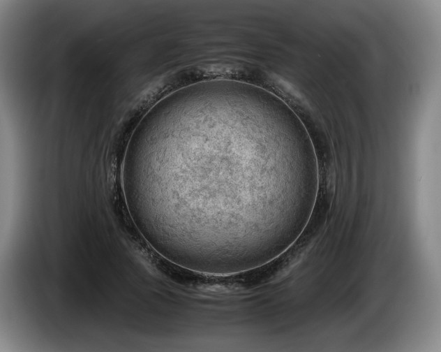 X0000085210737200703091138