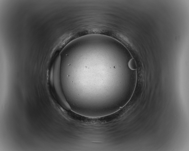 X0000085210738200703091138